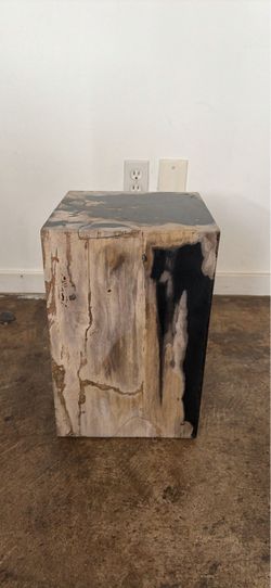 Stunning Petrified Wood Side Table