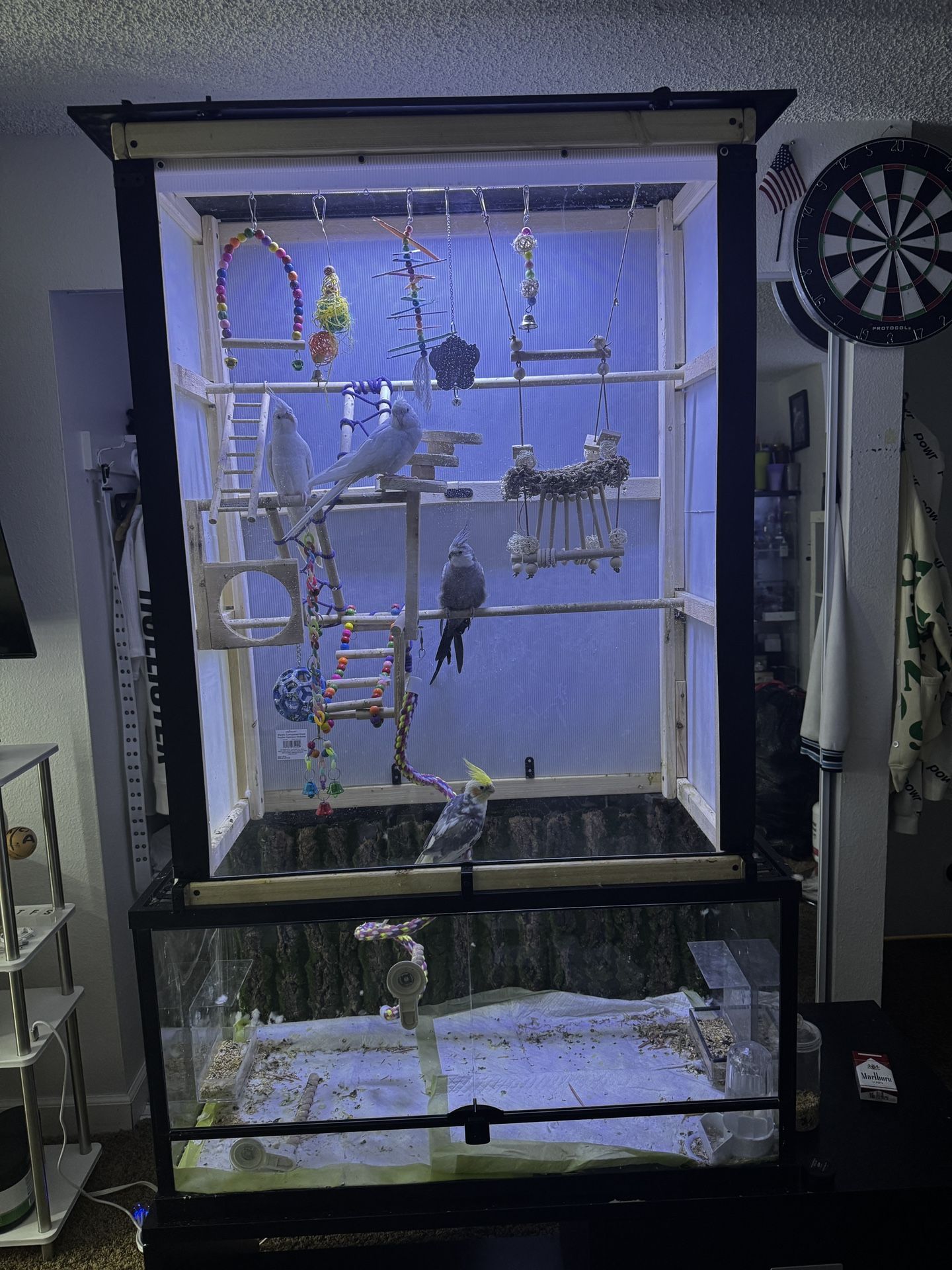 Bird Cage