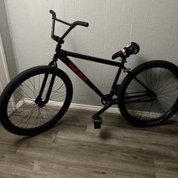 Thorne 29er