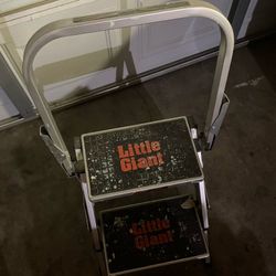 Little Giant Fold Ladder 