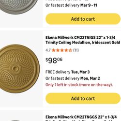 22in Ceiling Medallion 