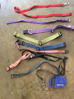 Pet Collars/Leashes
