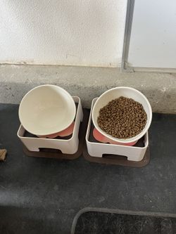 Pet Bowls