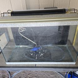 29 Gallon Aquarium 
