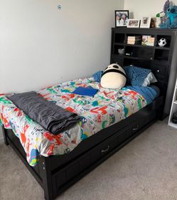 Twin book case bed