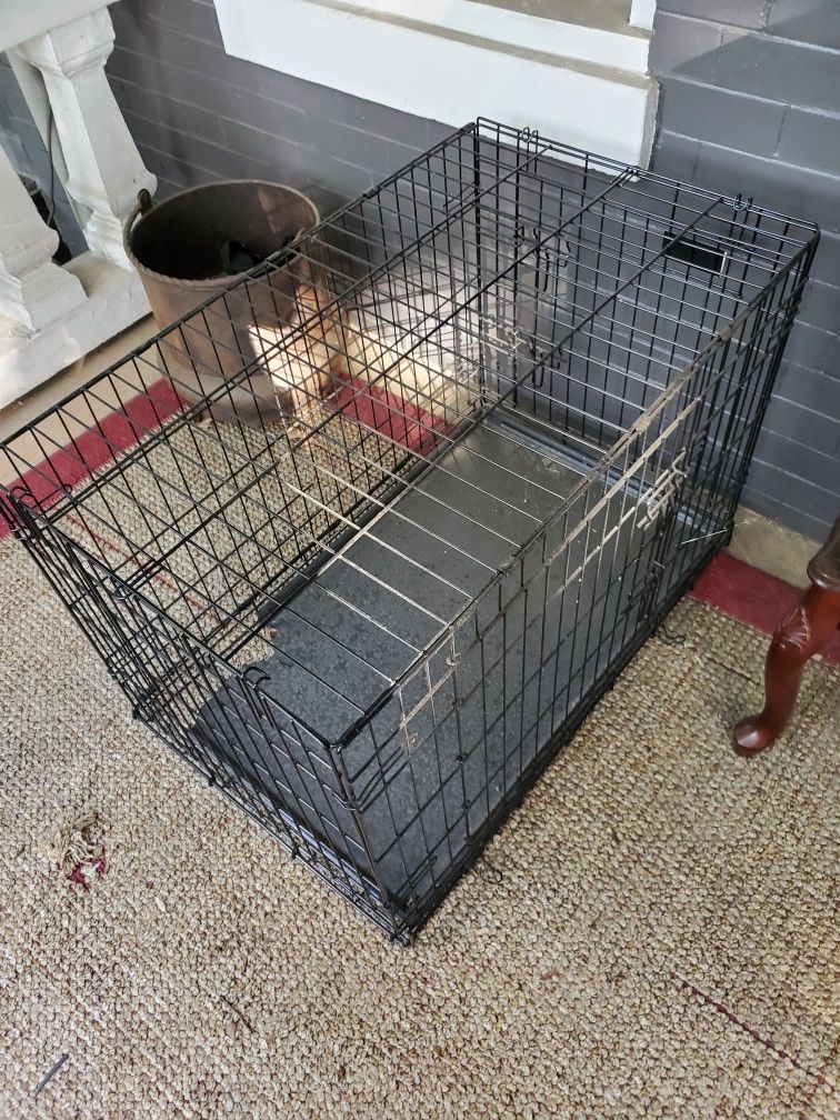 Collapsible dog crate