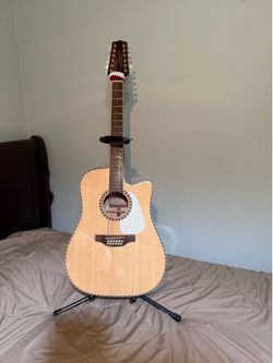 Takamine 12 string