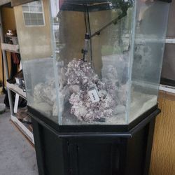 70 Gallon fish Tank 