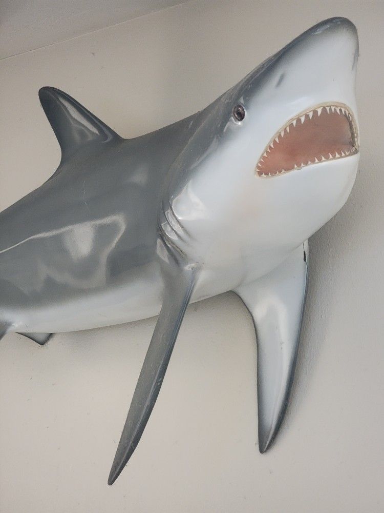 6'6in Fiber Glass Shark