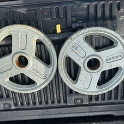 2-25lb 50lbs Total Iron Weight Weighs Weider $50 OBO