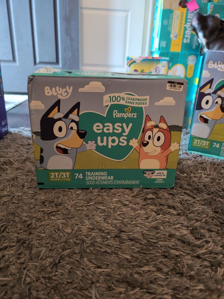 Pampers Easy Ups 2T-3T 74 Ct