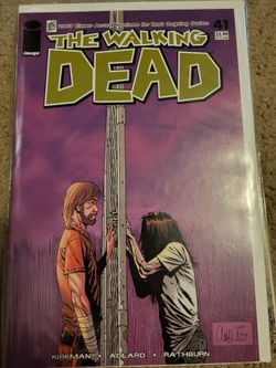 The Walking Dead Comic #41