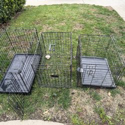 Dog Crate 30 Each 