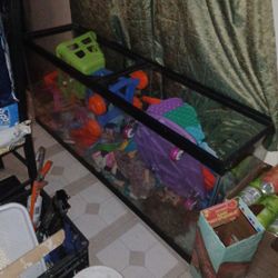 55 Gal. 