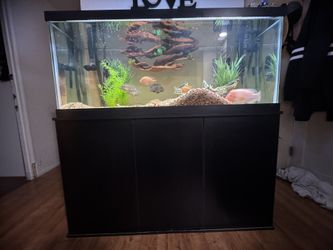 Tank Only 75 Gallon Tank