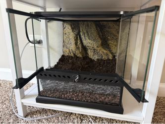 Exo Terra Glass Terrarium Kit 12x12x12" Glass Tank