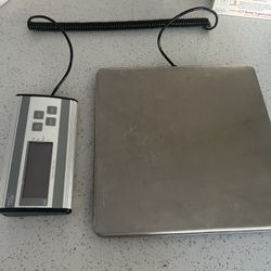Stainless Steel Digital Scale