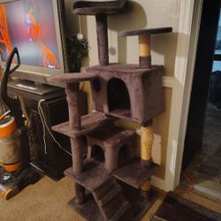 5ft Tall Barely Used Cat Tree
