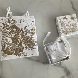 Dior Silver Chain Necklace 