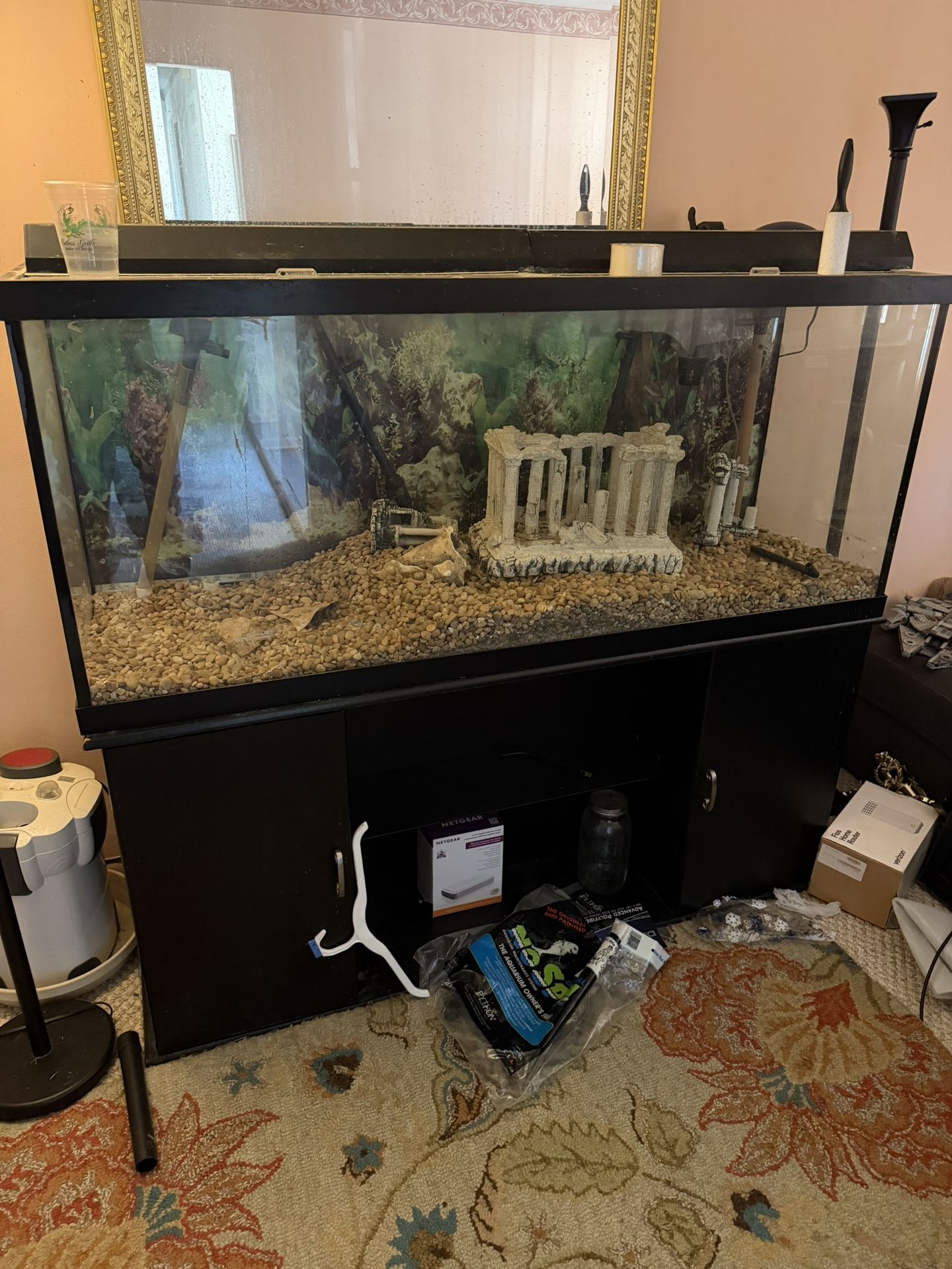 Fish Tank 