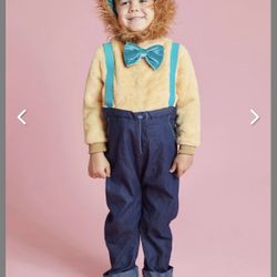 2T Lion Halloween Costume New 