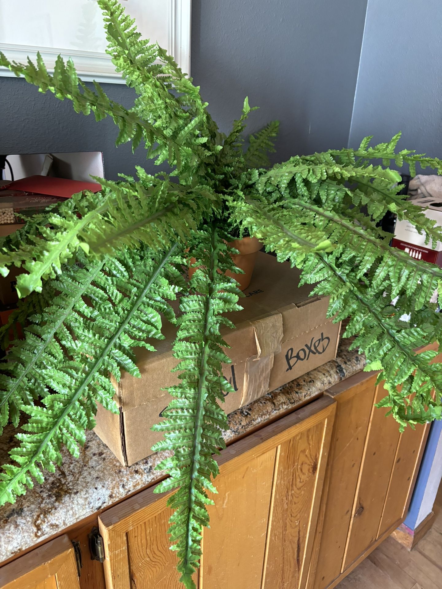 Silk Boston Fern NWOT