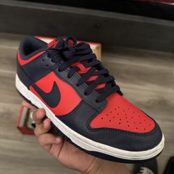 Red and Blue Nikes Size 9 1/2