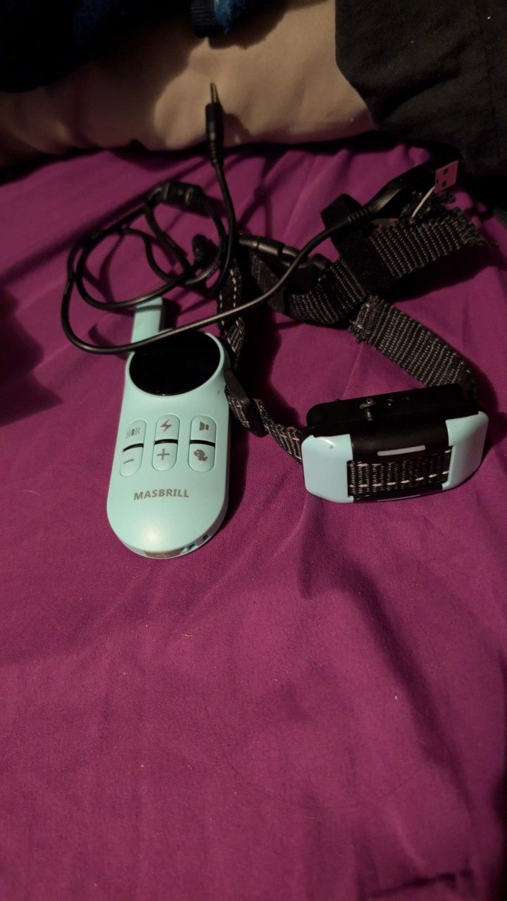 Training Collar