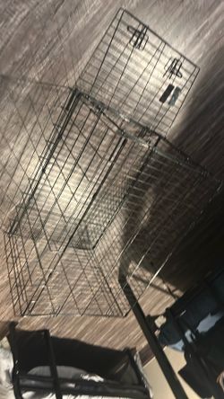 Kennel