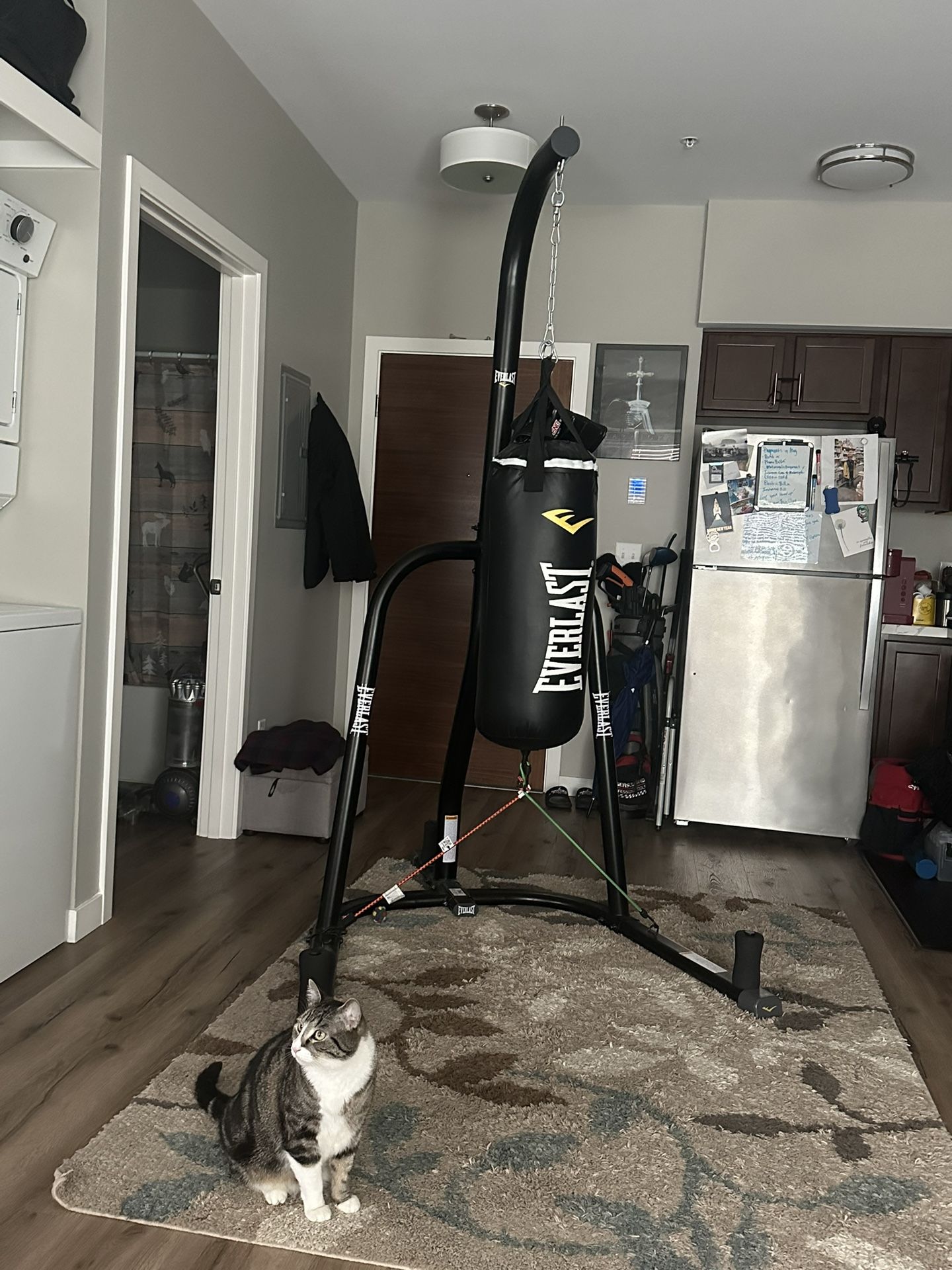 Punching Bag, Stand And Two Sets Of Gloves