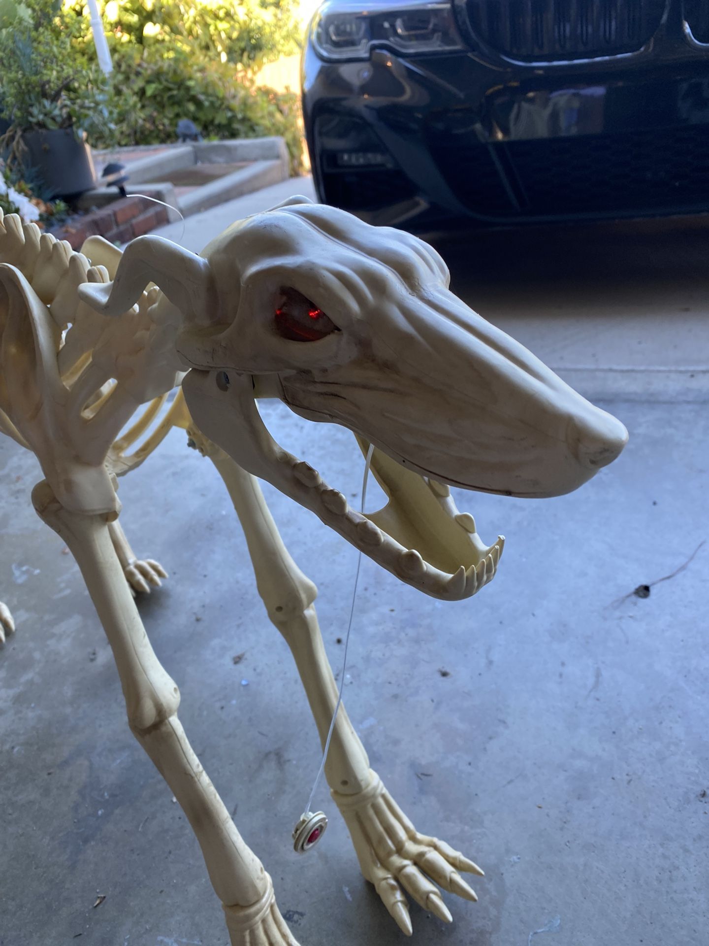 Halloween Decoration