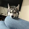 Nida