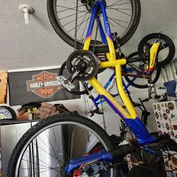 24 Inch Gary Fisher Bike 