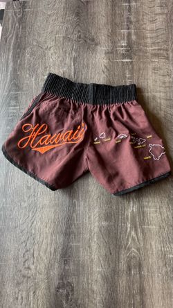 Hawaii brown Y2k shorts