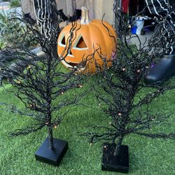 Halloween Decor 