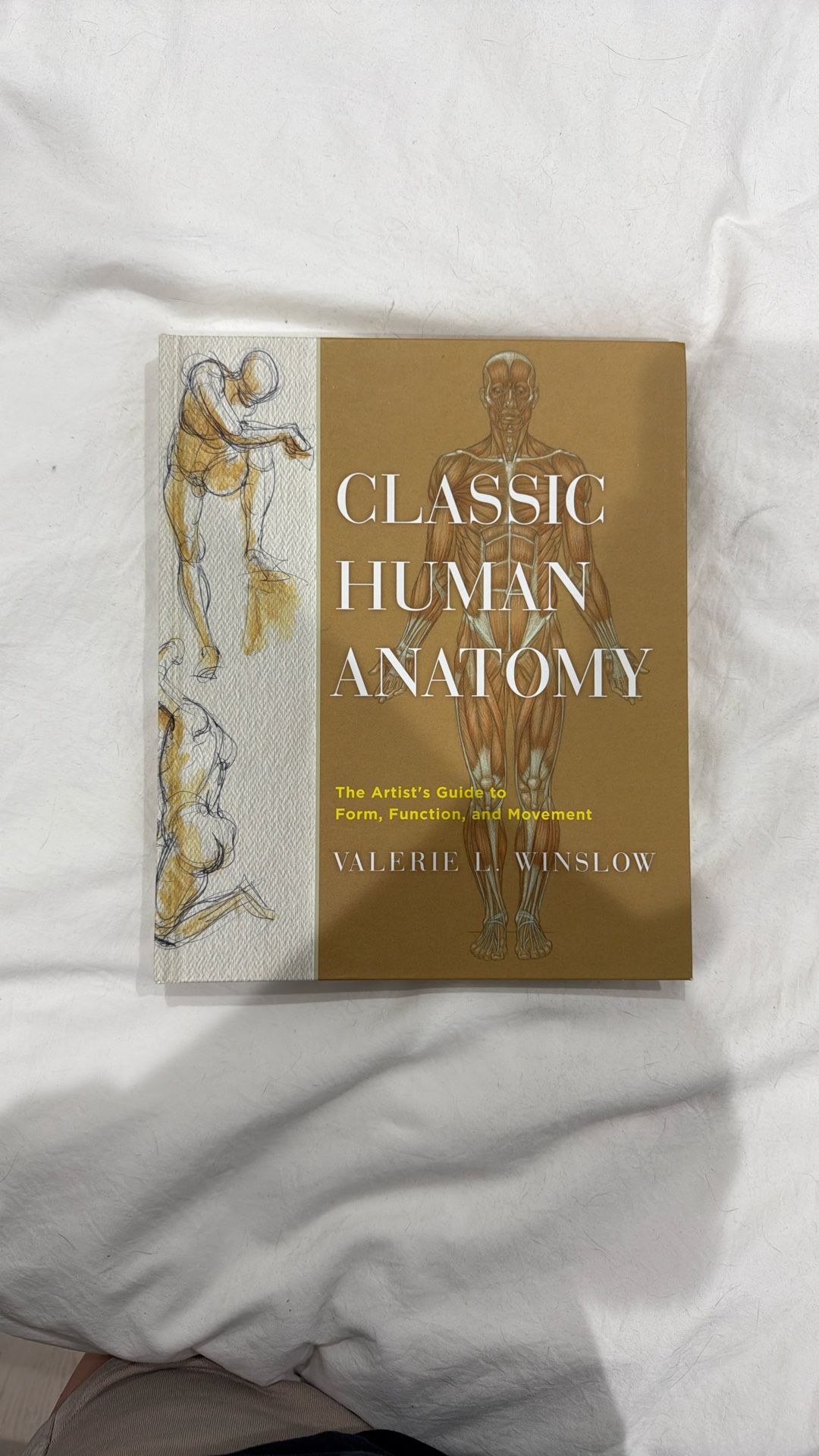 Classic Human Anatomy