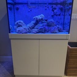 Red Sea Max 250 (65 Gallon) Saltwater Aquarium