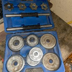 Curl Weights York