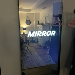 Then Mirror Interactive gym New