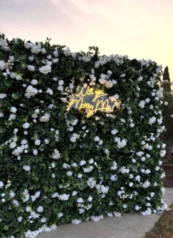 Will you marry me decoration