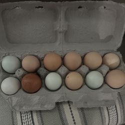 Eggs 