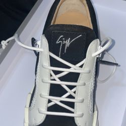 Giuseppe Zanotti