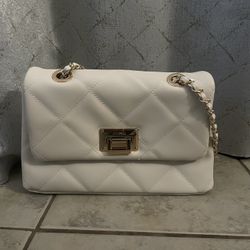 Aldo Purse 