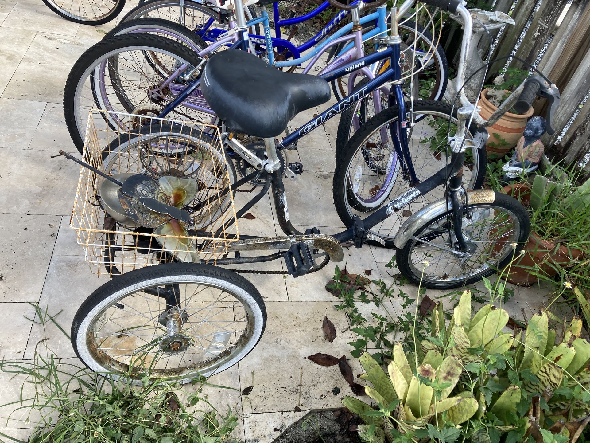 Tricycle 20
