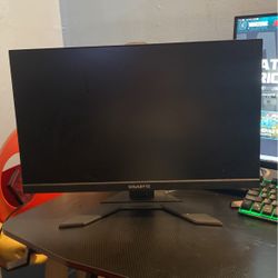 24 In Gaming Monitor