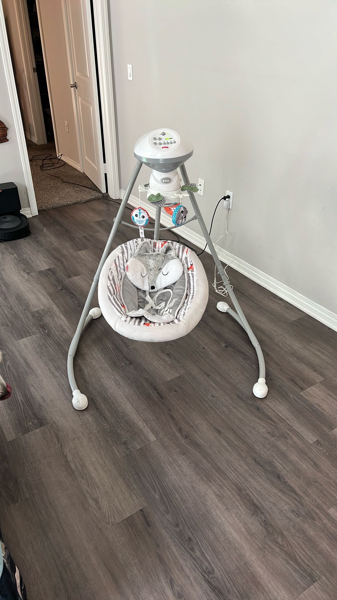Baby Swing.