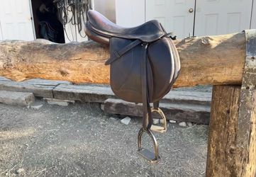 16.5 in Voltaire saddle