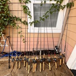 quantum Combos/ Rods