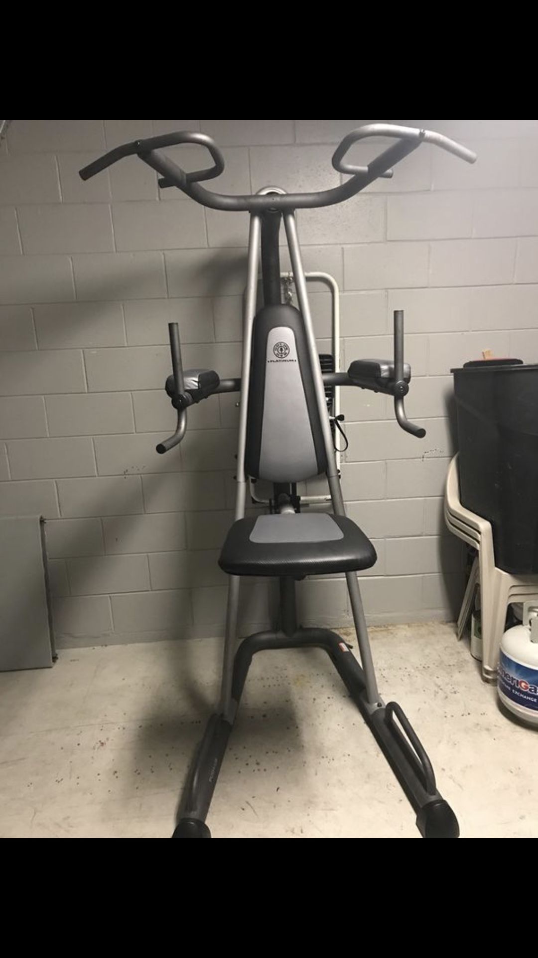 Gold’s Gym Platinum Assisted Power Tower