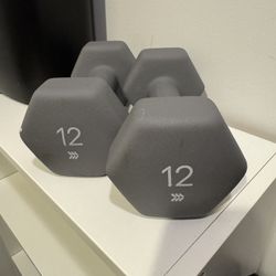 12 Lb Dumbbells 
